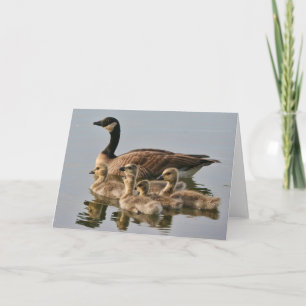 Gans met het Wenskaart van Kuikens Kaart