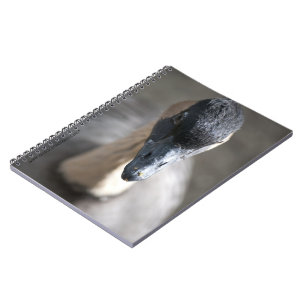 Gans Notitieboek