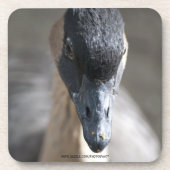 Gans Onderzetter (Voorkant)
