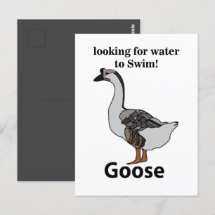 Gans op zoek naar water om te zwemmen Afrikaanse g Briefkaart