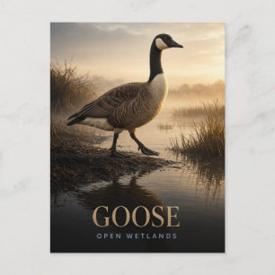Gans Open Natte Graslanden Wildlife DIER Briefkaart