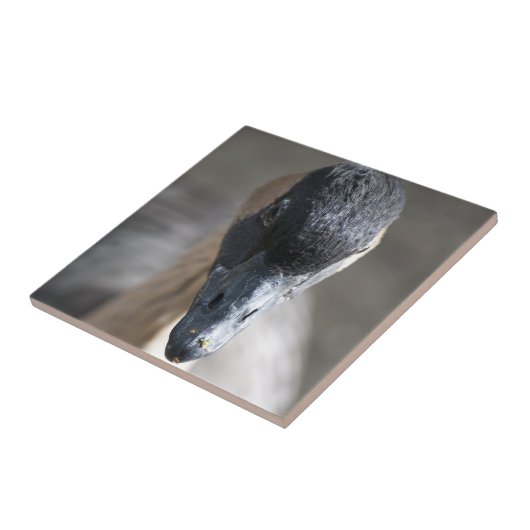Gans Tegeltje (Zijkant)