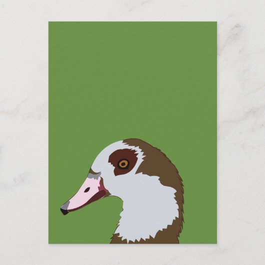 Gans Watervogels Vogel Gans Briefkaart (Voorkant)