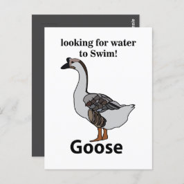 Gans zoekt water om Afrikaanse gans te zwemmen Briefkaart