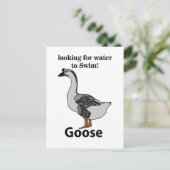 Gans zoekt water om Afrikaanse gans te zwemmen Briefkaart (Staand voorkant)
