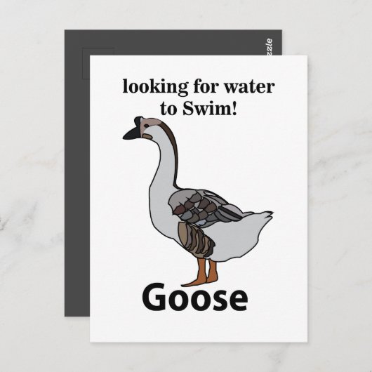 Gans zoekt water om Afrikaanse gans te zwemmen Briefkaart (Voorkant / Achterkant)