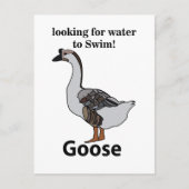 Gans zoekt water om Afrikaanse gans te zwemmen Briefkaart (Voorkant)