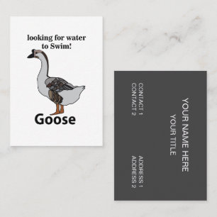 Gans zoekt water om Afrikaanse gans te zwemmen Visitekaartje