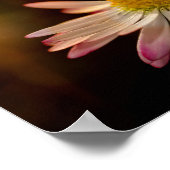 Gänseblümchen Poster (Hoek)