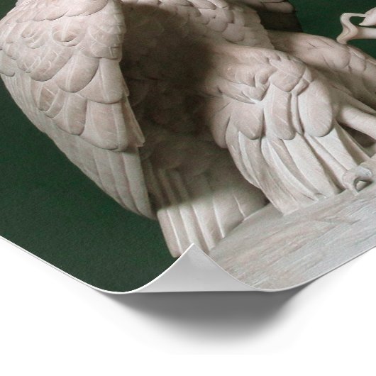 Ganymede Waters Zeus Poster (Hoek)