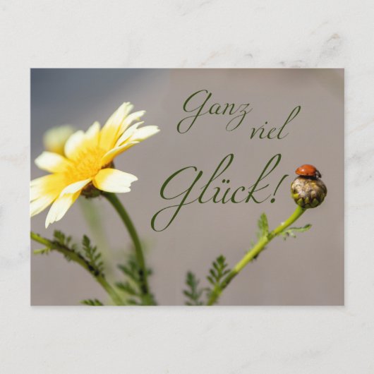 Ganz viel Glück - mit Marienkäfer! Briefkaart (Voorkant)