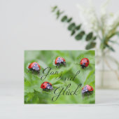 Ganz viel Glück - mit Marienkäfern! Briefkaart (Staand voorkant)