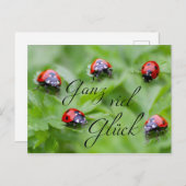 Ganz viel Glück - mit Marienkäfern! Briefkaart (Voorkant / Achterkant)