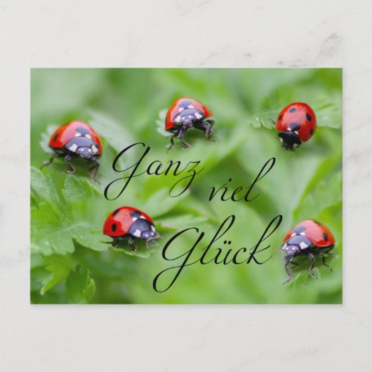 Ganz viel Glück - mit Marienkäfern! Briefkaart (Voorkant)
