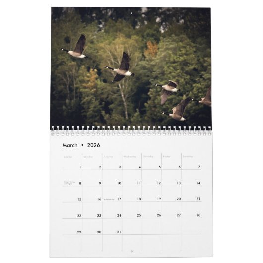 Ganzen 2025 kalender (Mar 2026)