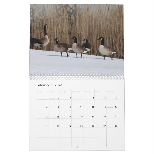 Ganzen 2025 kalender (Feb 2026)