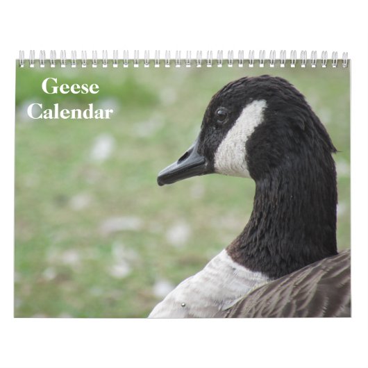 Ganzen 2027 kalender (Hoes)
