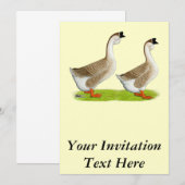 Ganzen: Afrikaans Buff Kaart (Voorkant / Achterkant)