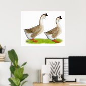 Ganzen: Afrikaans Buff Poster (Thuiskantoor)