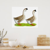 Ganzen: Afrikaans Buff Poster (Keuken)