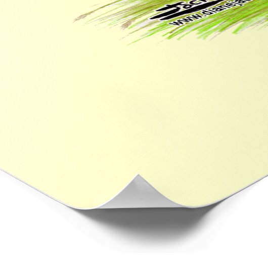 Ganzen: Afrikaans Buff Poster (Hoek)