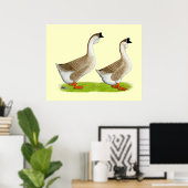 Ganzen: Afrikaans Buff Poster (Thuiskantoor)