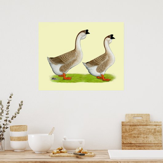 Ganzen: Afrikaans Buff Poster (Keuken)