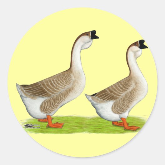 Ganzen: Afrikaans Buff Ronde Sticker (Voorkant)
