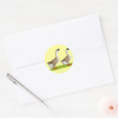 Ganzen: Afrikaans Buff Ronde Sticker (Envelop)