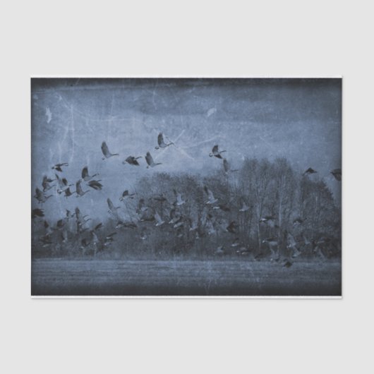  ganzen Antiek Blauwe textuur Ontvangstpagina Tissuepapier (Voorkant)