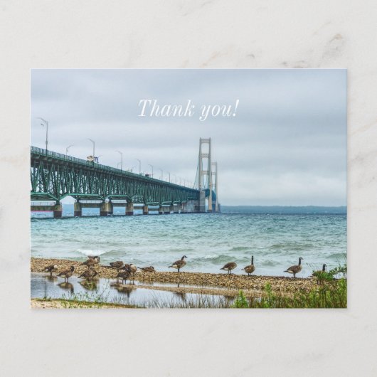 Ganzen bij de Mighty Mac Bedankt Briefkaart (Voorkant)