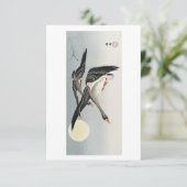 ganzen bij de volle maan ( 1900 - 1936 ) door Ohar Kaart (Staand voorkant)