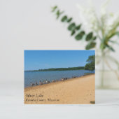 ganzen bij het Silver Lake, Wisconsin Briefkaart (Staand voorkant)
