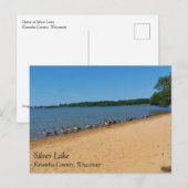 ganzen bij het Silver Lake, Wisconsin Briefkaart (Voorkant / Achterkant)