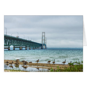 Ganzen bij Mighty Mac