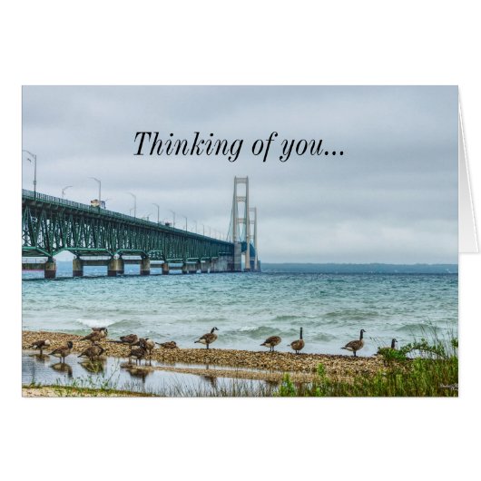 Ganzen bij Mighty Mac denken aan jou (Voorkant Horizontaal)