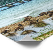 Ganzen bij Mighty Mac Poster (Hoek)