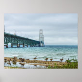 Ganzen bij Mighty Mac Poster (Voorkant)