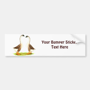 ganzen:  Bruin Chinees Bumpersticker