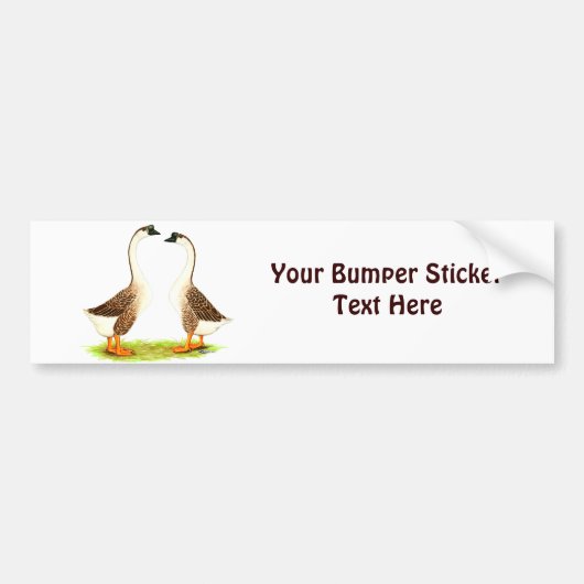 ganzen:  Bruin Chinees Bumpersticker (Voorkant)