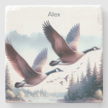 Ganzen Coaster, Gepersonaliseerde Ganzen