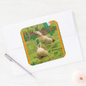 ganzen die een beetje Iers dansen Vierkante Sticker (Envelop)