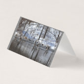 ganzen die uit water vloeien kaart (Voorkant)