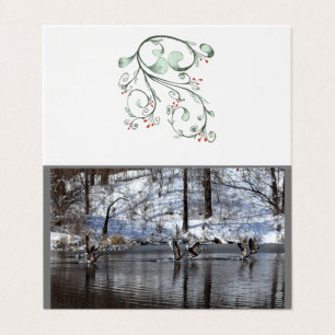 ganzen die uit water vloeien kaart