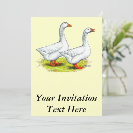 ganzen: Embden Pair Kaart (Staand voorkant)