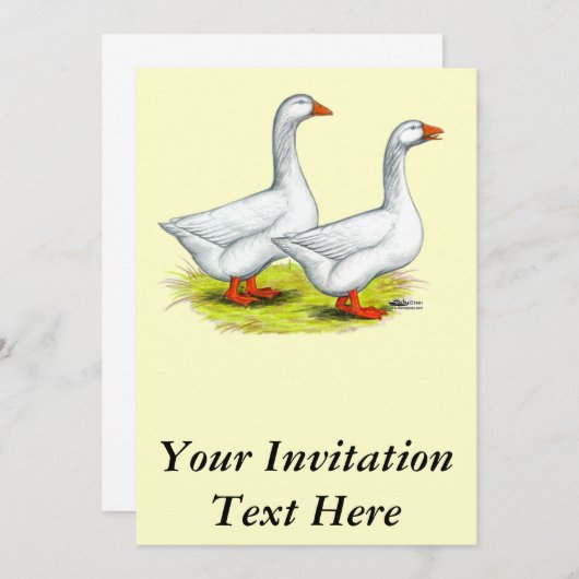 ganzen:  Embden Pair Kaart (Voorkant / Achterkant)