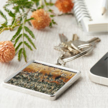 Ganzen en eenden lopen rond kunst