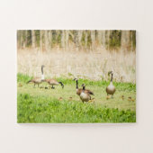 Ganzen en Goslings te groot Legpuzzel (Horizontaal)