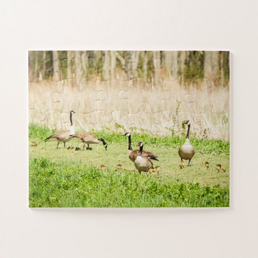 Ganzen en Goslings te groot Legpuzzel (Horizontaal)