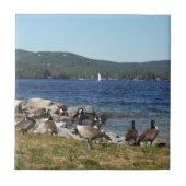 Ganzen en meer met zeilboot tegeltje (Voorkant)